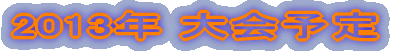 2009N \